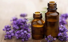 Menekşe Yağı Özellikleri ve Faydaları Nelerdir?